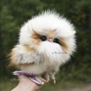 Meet your Posher, Fula